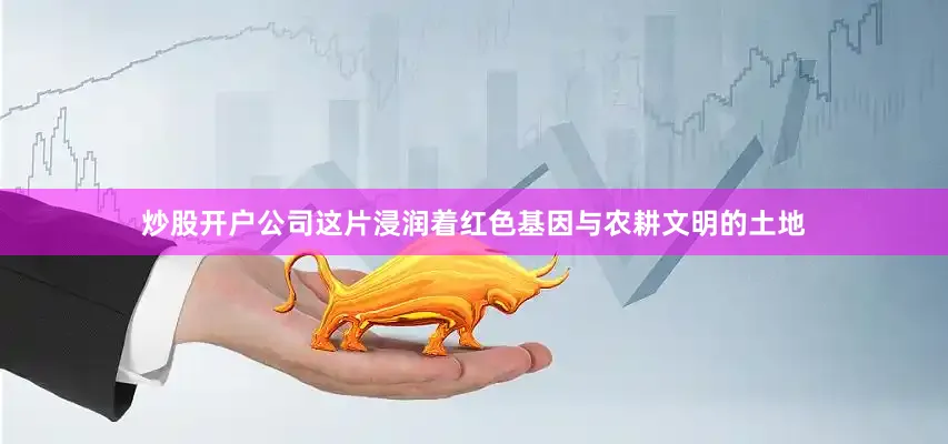 炒股开户公司这片浸润着红色基因与农耕文明的土地